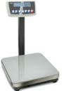 Precision platform scale