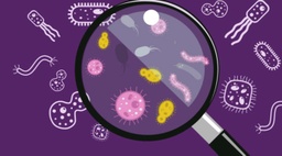 Basics of Microbiology and Environmental Monitoring